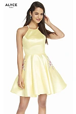 Alyce Paris Dress 3887