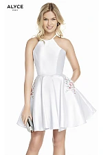 Alyce Paris Dress 3887