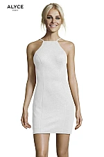 Alyce Paris Dress 4153