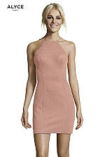 Alyce Paris Dress 4153