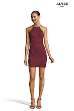 Alyce Paris Dress 4153