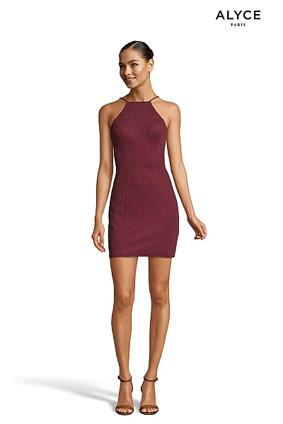 Alyce Paris Dress 4153