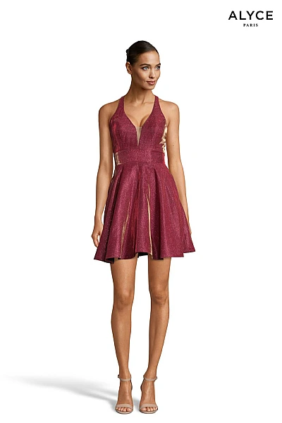 Alyce Paris Dress 4182