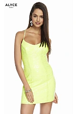 Alyce Paris Dress 4202