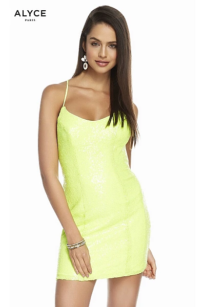 Alyce Paris Dress 4202