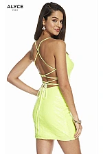 Alyce Paris Dress 4202