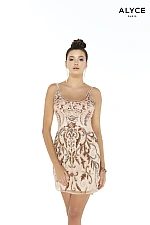 Alyce Paris Dress 4236