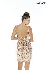 Alyce Paris Dress 4236