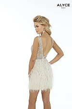 Alyce Paris Dress 4239