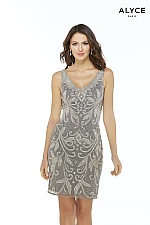 Alyce Paris Dress 4241