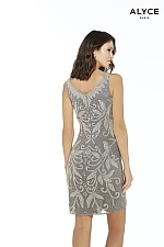Alyce Paris Dress 4241
