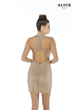 Alyce Paris Dress 4245