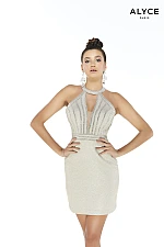 Alyce Paris Dress 4249
