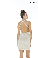 Alyce Paris Dress 4249