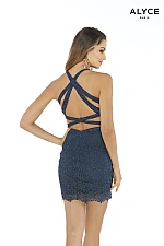 Alyce Paris Dress 4257
