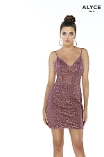 Alyce Paris Dress 4260