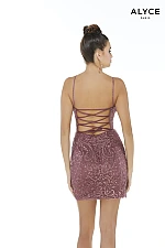 Alyce Paris Dress 4260