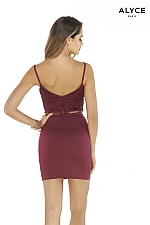Alyce Paris Dress 4266
