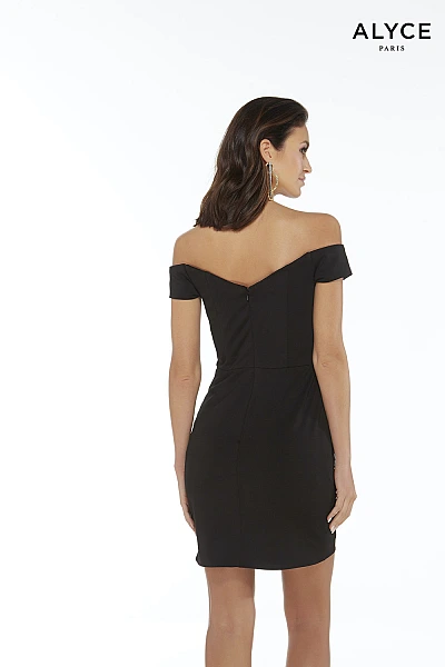Alyce Paris Dress 4270