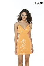 Alyce Paris Dress 4327