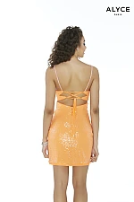 Alyce Paris Dress 4327