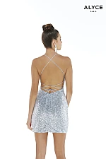 Alyce Paris Dress 4334