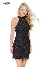 Alyce Paris Dress 4440 Alyce Paris Dress 4440