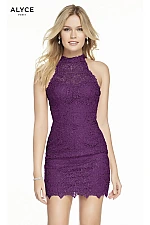 Alyce Paris Dress 4440 Alyce Paris Dress 4440