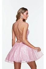 Alyce Paris Dress 3104