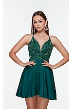 Alyce Paris Dress 3112