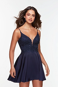 Alyce Paris Dress 3113