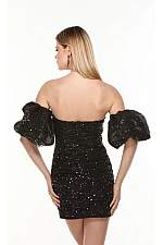 Alyce Paris Dress 4496