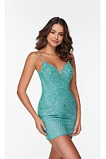 Alyce Paris Dress 4502