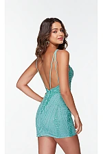Alyce Paris Dress 4502