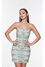 Alyce Paris Dress 4507