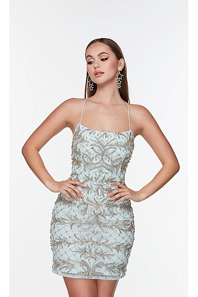 Alyce Paris Dress 4507