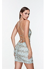 Alyce Paris Dress 4507