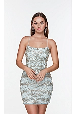Alyce Paris Dress 4507