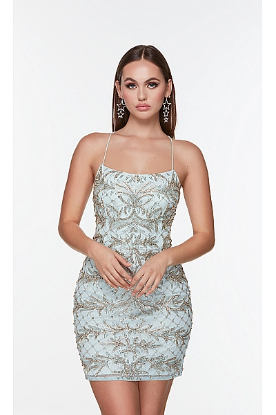 Alyce Paris Dress 4507