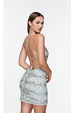 Alyce Paris Dress 4507