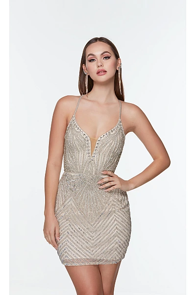 Alyce Paris Dress 4508