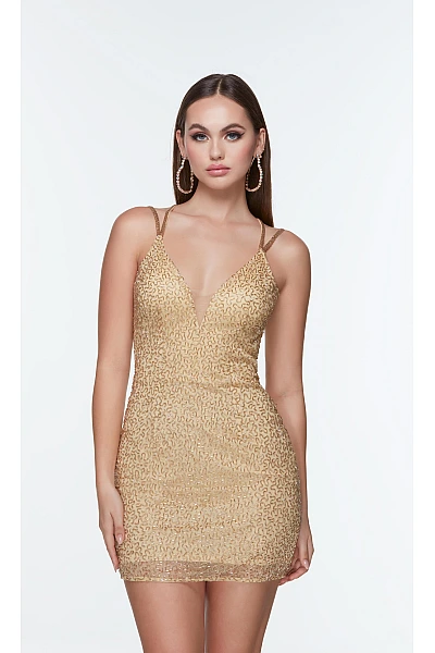 Alyce Paris Dress 4511