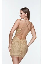 Alyce Paris Dress 4511