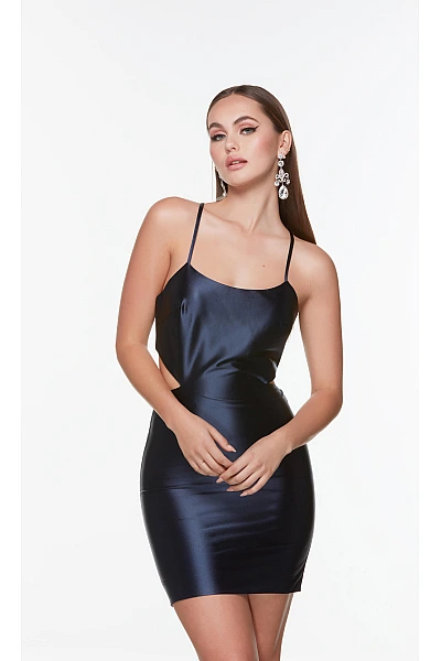 Alyce Paris Dress 4521