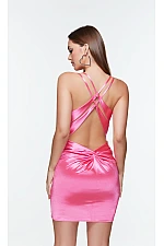 Alyce Paris Dress 4522
