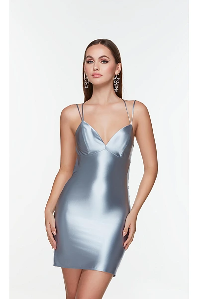 Alyce Paris Dress 4523