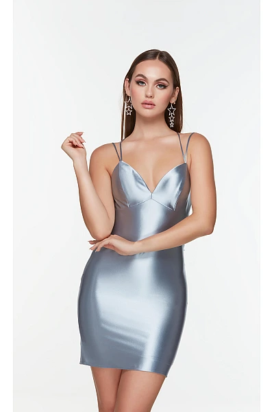 Alyce Paris Dress 4523