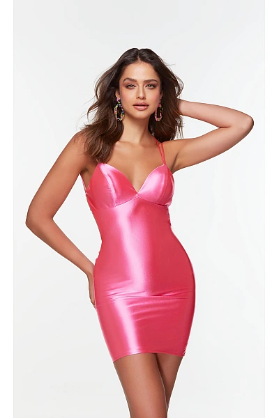 Alyce Paris Dress 4523