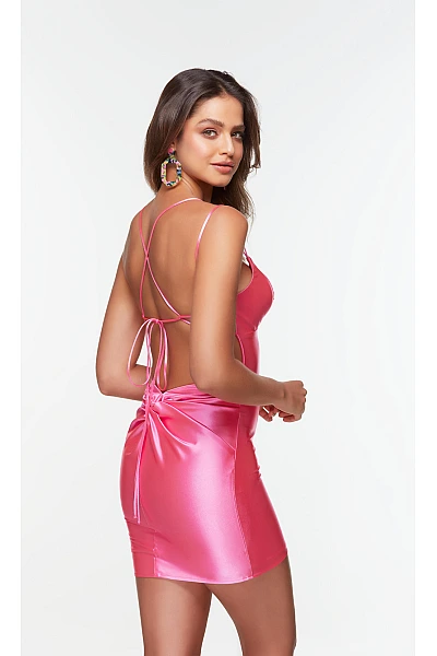 Alyce Paris Dress 4523