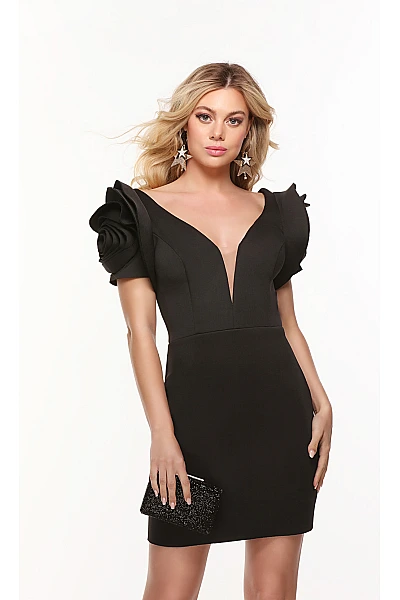Alyce Paris Dress 4527